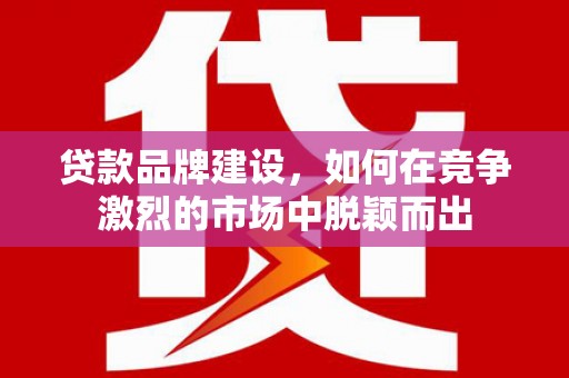 岷县贷款品牌建设，如何在竞争激烈的市场中脱颖而出
