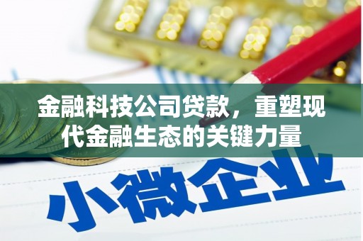 岷县金融科技公司贷款，重塑现代金融生态的关键力量