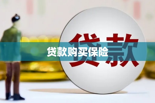 岷县贷款购买保险