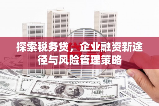 岷县探索税务贷，企业融资新途径与风险管理策略