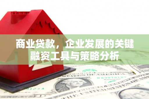 岷县商业贷款，企业发展的关键融资工具与策略分析