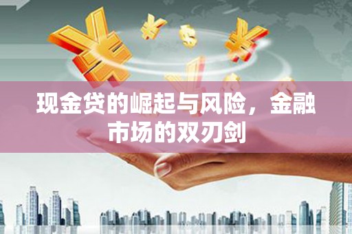 岷县现金贷的崛起与风险，金融市场的双刃剑