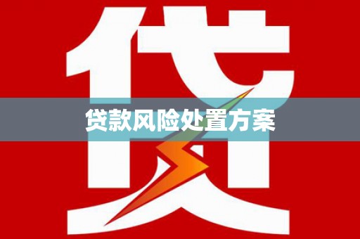 岷县贷款风险处置方案
