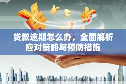 岷县贷款逾期怎么办，全面解析应对策略与预防措施