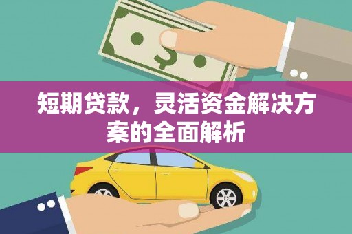岷县短期贷款，灵活资金解决方案的全面解析