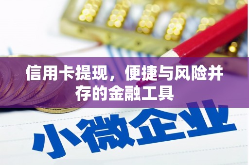 岷县信用卡提现，便捷与风险并存的金融工具