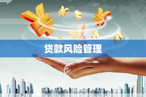 岷县贷款风险管理