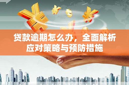 岷县贷款逾期怎么办，全面解析应对策略与预防措施