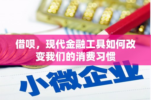 岷县借呗，现代金融工具如何改变我们的消费习惯