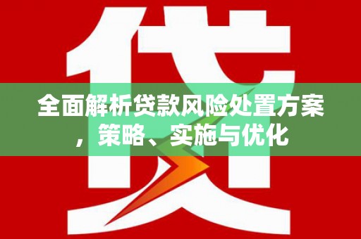 岷县全面解析贷款风险处置方案，策略、实施与优化
