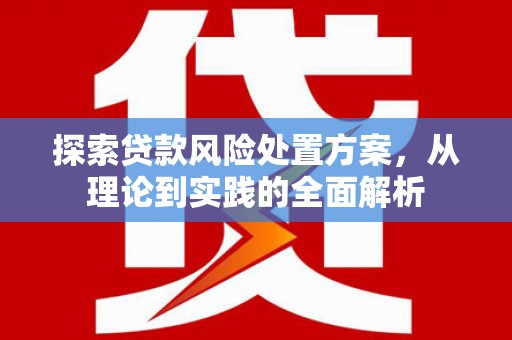 岷县探索贷款风险处置方案，从理论到实践的全面解析
