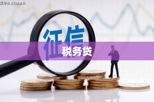 岷县税务贷