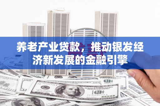 岷县养老产业贷款，推动银发经济新发展的金融引擎