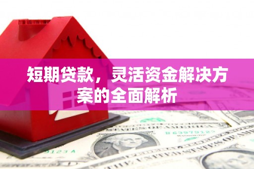 岷县短期贷款，灵活资金解决方案的全面解析