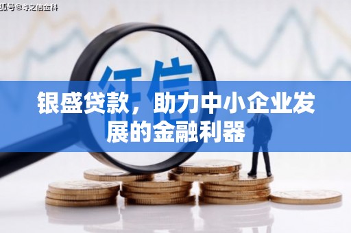 岷县银盛贷款，助力中小企业发展的金融利器