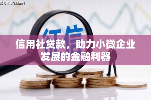岷县信用社贷款，助力小微企业发展的金融利器