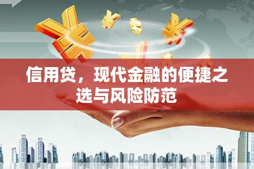 岷县信用贷，现代金融的便捷之选与风险防范
