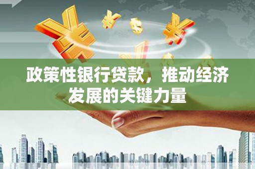岷县政策性银行贷款，推动经济发展的关键力量