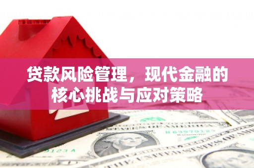 岷县贷款风险管理，现代金融的核心挑战与应对策略