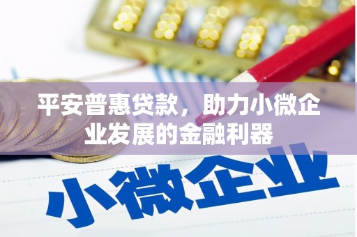 岷县平安普惠贷款，助力小微企业发展的金融利器