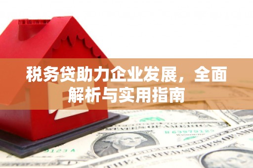 岷县税务贷助力企业发展，全面解析与实用指南