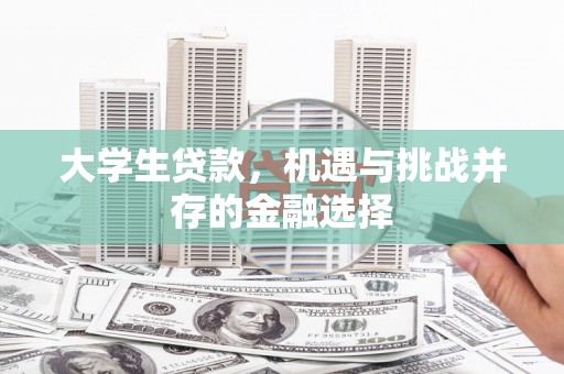 岷县大学生贷款，机遇与挑战并存的金融选择