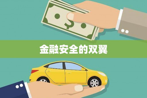 岷县金融安全的双翼
