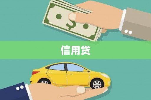 岷县信用贷