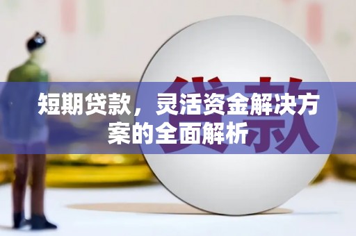 岷县短期贷款，灵活资金解决方案的全面解析
