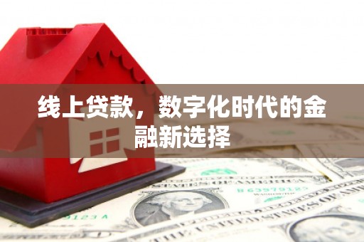 岷县线上贷款，数字化时代的金融新选择