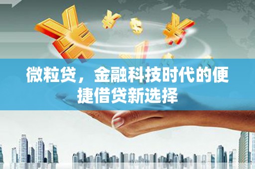 岷县微粒贷，金融科技时代的便捷借贷新选择