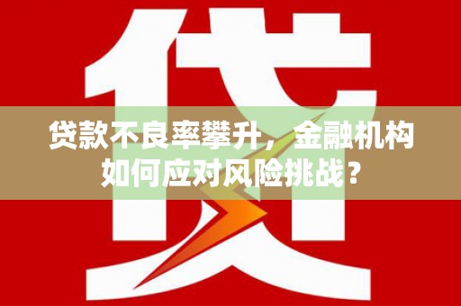 岷县贷款不良率攀升，金融机构如何应对风险挑战？