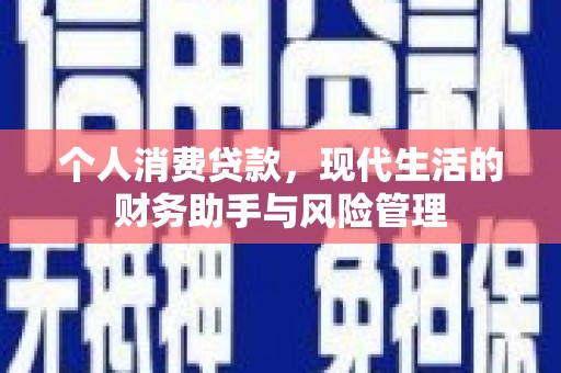 岷县个人消费贷款，现代生活的财务助手与风险管理