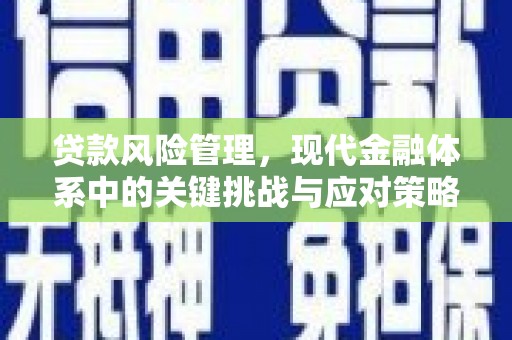 岷县贷款风险管理，现代金融体系中的关键挑战与应对策略