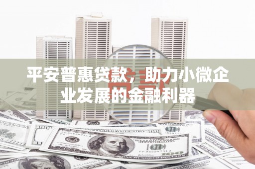 岷县平安普惠贷款，助力小微企业发展的金融利器