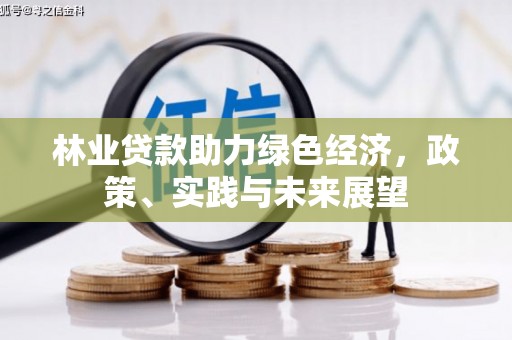 岷县林业贷款助力绿色经济，政策、实践与未来展望