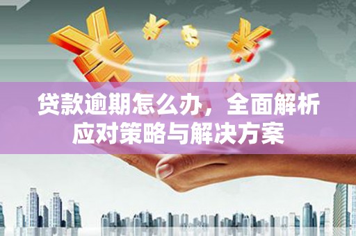 岷县贷款逾期怎么办，全面解析应对策略与解决方案