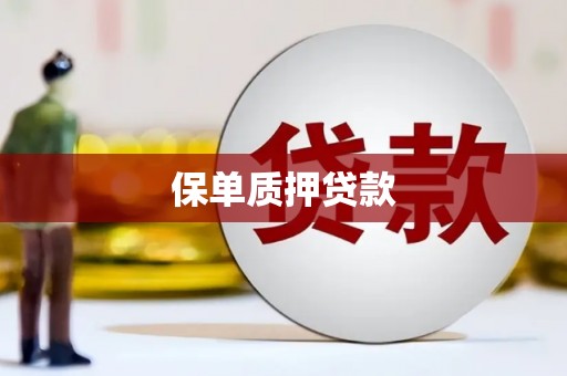 岷县保单质押贷款