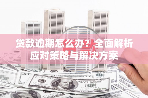 岷县贷款逾期怎么办？全面解析应对策略与解决方案