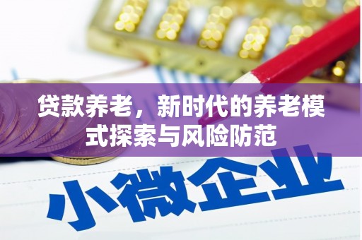 岷县贷款养老，新时代的养老模式探索与风险防范