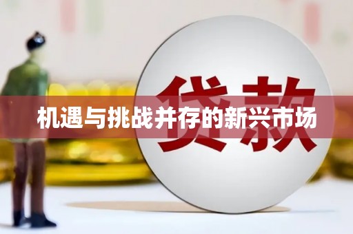 岷县机遇与挑战并存的新兴市场