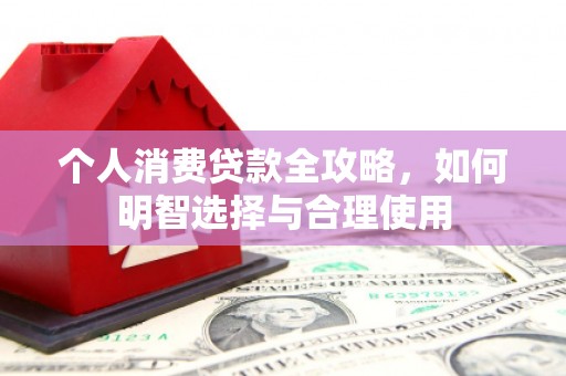 岷县个人消费贷款全攻略，如何明智选择与合理使用