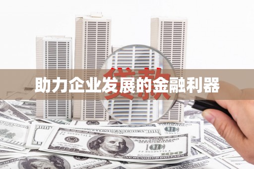 岷县助力企业发展的金融利器