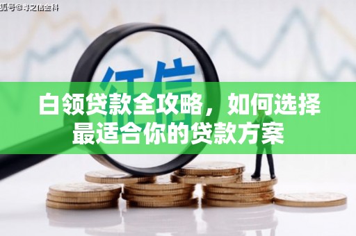 岷县白领贷款全攻略，如何选择最适合你的贷款方案